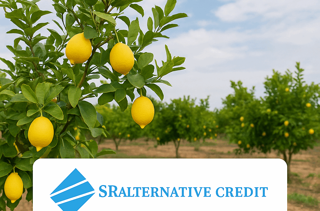 SR Alternative Credit is pleased to announce the closing of an $8MM Senior Secured Pre-Export Credit Facility for Lemon Products Exporter